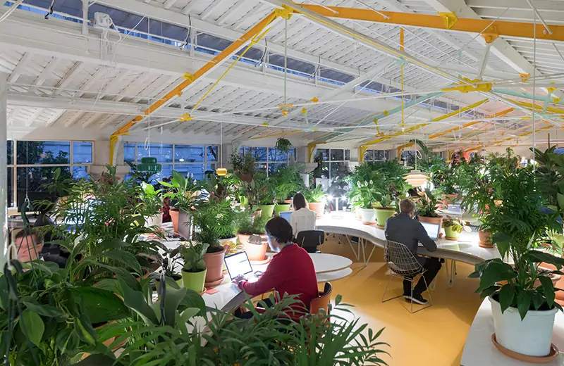 Растения создают личное рабочее пространство, очищают воздух и снижают шум. Рабочее пространство Second Home Lisboa от испанских архитекторов Хосе Селгаса и Лусии Кано
