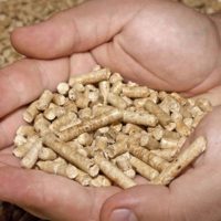 Плюсы и минусы котлов на древесных гранулах