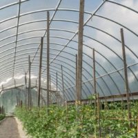 Инновационные теплицы из поликарбоната: Революция в сельском хозяйстве Краснодарского края