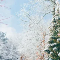 Пять способов подготовить ваши окна к зиме