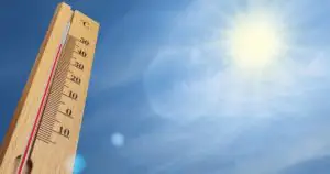 Летние хитрости: как сделать вашу оранжерею уютной и прохладной